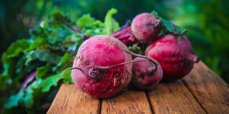 FAO ofrece un nuevo curso gratuito sobre agroecología