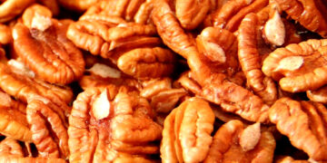 México se ubica como el segundo exportador mundial de nuez pecanera