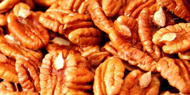 México se ubica como el segundo exportador mundial de nuez pecanera