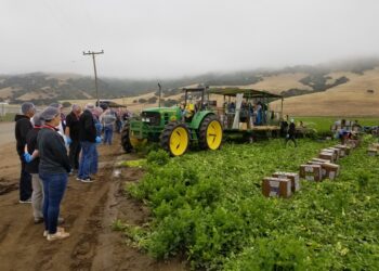 Organic Grower Summit analizará el crecimiento del mercado ecológico en México