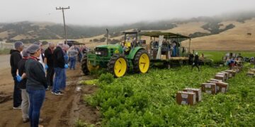 Organic Grower Summit analizará el crecimiento del mercado ecológico en México