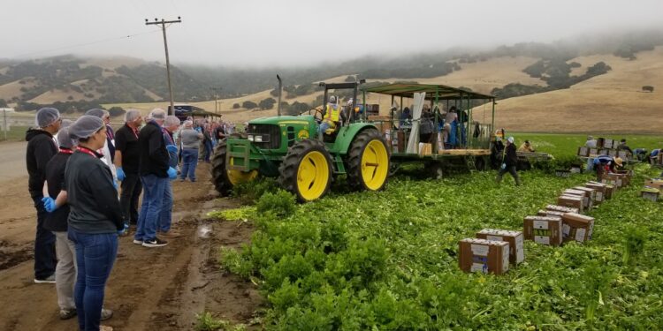 Organic Grower Summit analizará el crecimiento del mercado ecológico en México