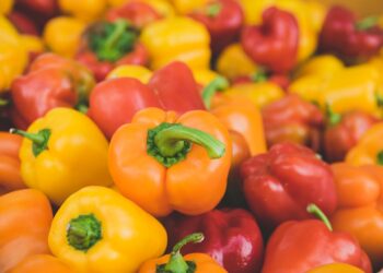 Produce Pay analiza los desafíos para la agricultura en una serie de webinars