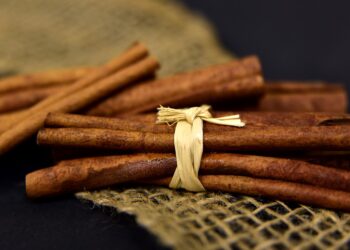 Productores de Chiapas exportan canela orgánica a Europa