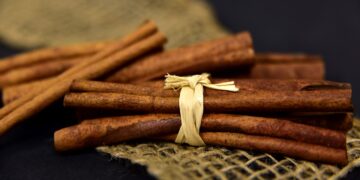 Productores de Chiapas exportan canela orgánica a Europa