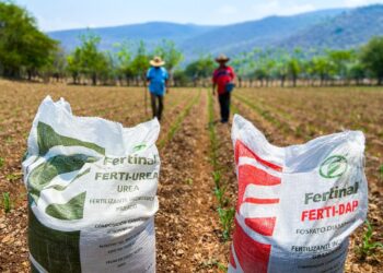 Encarecimiento de fertilizantes pone en riesgo abasto de alimentos