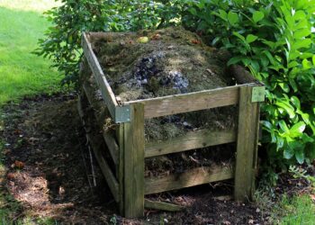 Estudiantes transforman basura orgánica en abono