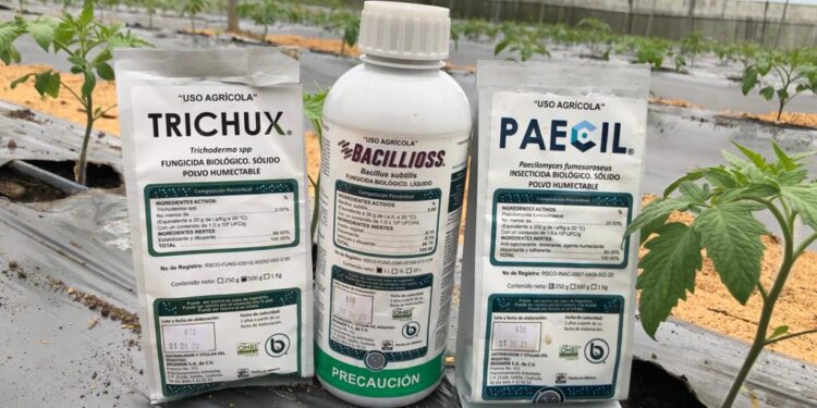 La necesidad de alimentos inocuos impulsa la demanda de bioinsumos