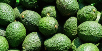 Municipios de cuatro estados refrendan declaratoria de zonas libres de plagas del aguacatero