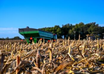 70% de los suelos agrícolas de México están degradados, advierte especialista
