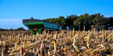70% de los suelos agrícolas de México están degradados, advierte especialista