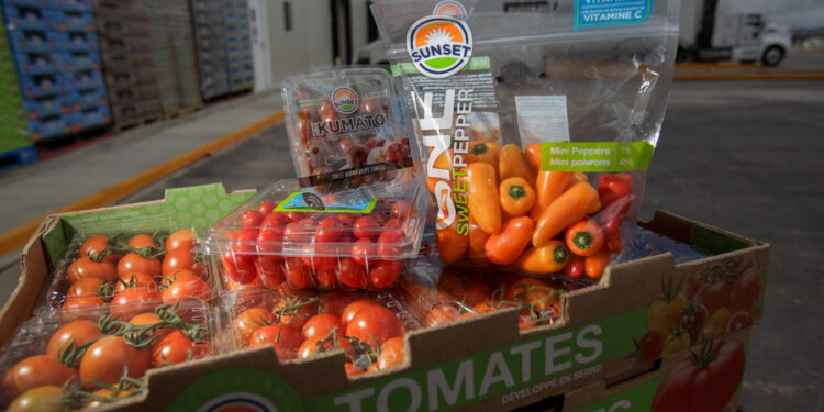 Balanza agroalimentaria de México registra superávit de cinco mil 707 mdd