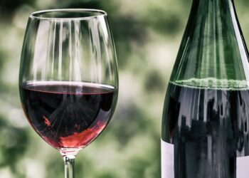 Crece la producción y consumo de vino orgánico en Argentina