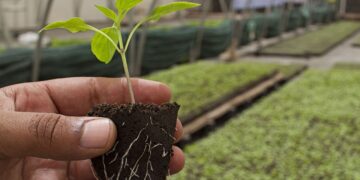 Especialistas urgen a reconvertir la agricultura en México