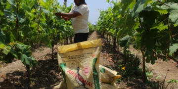 Agro Rural recibe certificación internacional orgánica para uso de guano