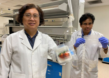 Científicos de Singapur y EE. UU. desarrollan un envase que mata bacterias