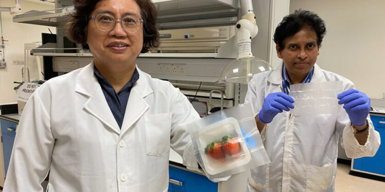 Científicos de Singapur y EE. UU. desarrollan un envase que mata bacterias