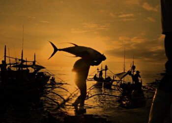 Pescadores ecuatorianos son pioneros en usar dispositivos atrayentes orgánicos