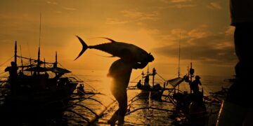 Pescadores ecuatorianos son pioneros en usar dispositivos atrayentes orgánicos