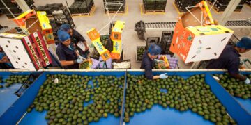 Valor de las exportaciones agroalimentarias de México supera los 40 mil mdd