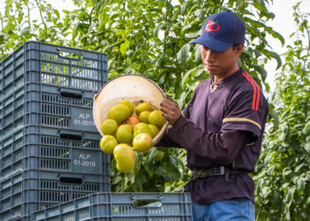 AMHPAC e INEA firman convenio para alfabetización de trabajadores agrícolas