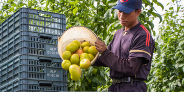 AMHPAC e INEA firman convenio para alfabetización de trabajadores agrícolas