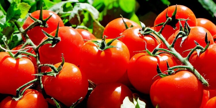 Crece el segmento de orgánicos en supermercados de EEUU