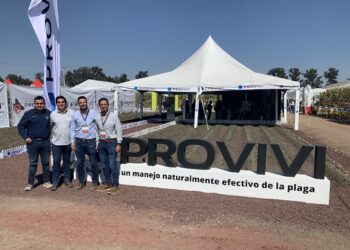 Con feromonas, Provivi FAW™ evita la reproducción del cogollero en maíz