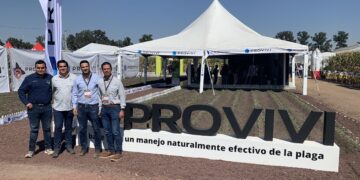 Con feromonas, Provivi FAW™ evita la reproducción del cogollero en maíz