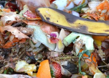 Emprendedoras mexiquenses transforman desechos en biofertilizantes