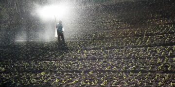 Ministros agrícolas de AL abordarán la preocupación por los fertilizantes