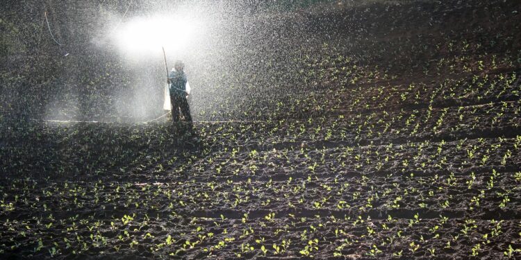 Ministros agrícolas de AL abordarán la preocupación por los fertilizantes