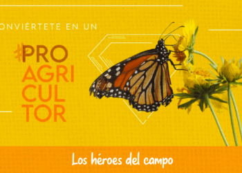 PROAgricultor capacitará a productores en prácticas agrícolas sostenibles