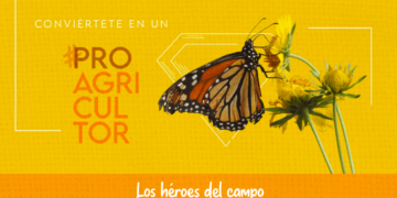 PROAgricultor capacitará a productores en prácticas agrícolas sostenibles