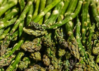 Producción de espárrago en México y Estados Unidos