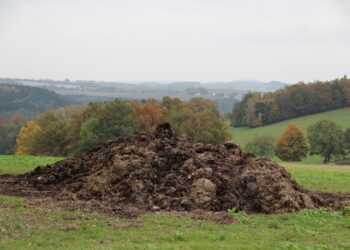 Productores tlaxcaltecas dan preferencia a fertilizantes orgánicos