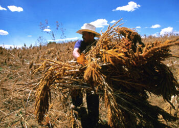 Aires de Campo cumple 20 años