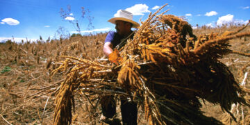 Aires de Campo cumple 20 años