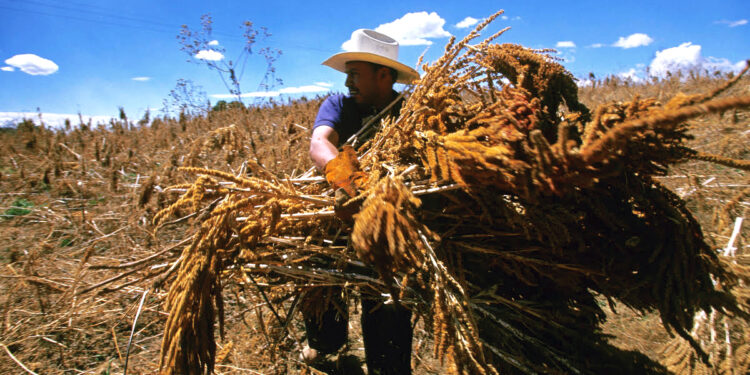 Aires de Campo cumple 20 años