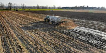 El mundo enfrenta una crisis alimentaria por sanciones a Rusia: Putin