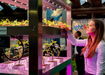 GreenTech Americas apuesta por el impulso a la horticultura protegida