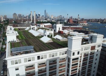 Nueva York tiene una nueva azotea verde para cultivar orgánicos