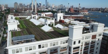 Nueva York tiene una nueva azotea verde para cultivar orgánicos