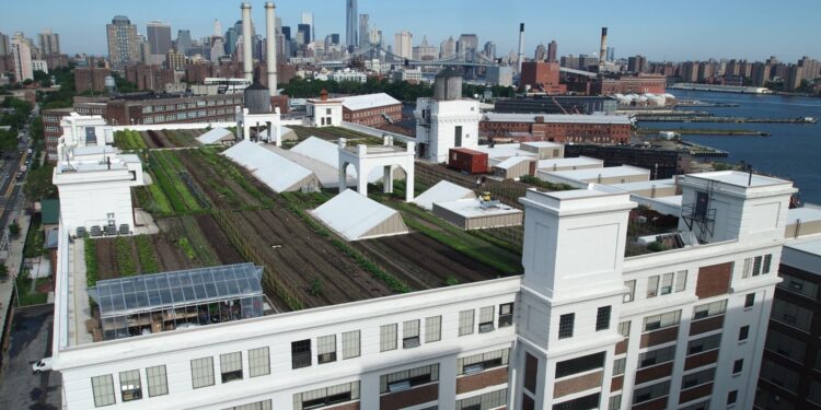 Nueva York tiene una nueva azotea verde para cultivar orgánicos
