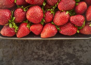 PayPal y CrowdFarming acercarán alimentos orgánicos a consumidores