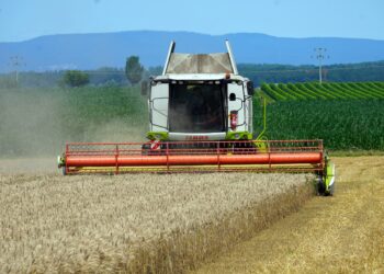 Precios mundiales de los alimentos alcanzan su mayor nivel desde 1990