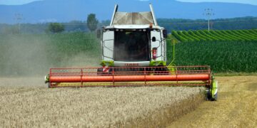 Precios mundiales de los alimentos alcanzan su mayor nivel desde 1990