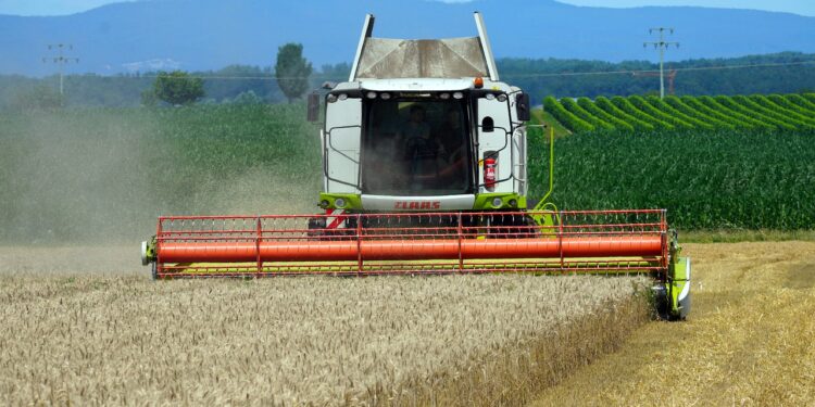 Precios mundiales de los alimentos alcanzan su mayor nivel desde 1990