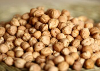 Aires de Campo incorpora al garbanzo en su oferta de productos orgánicos