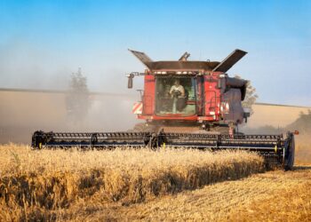 Brasil busca fertilizantes naturales para evitar dependencia de Rusia
